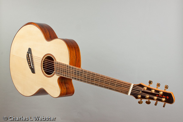 Multiscale Guitar